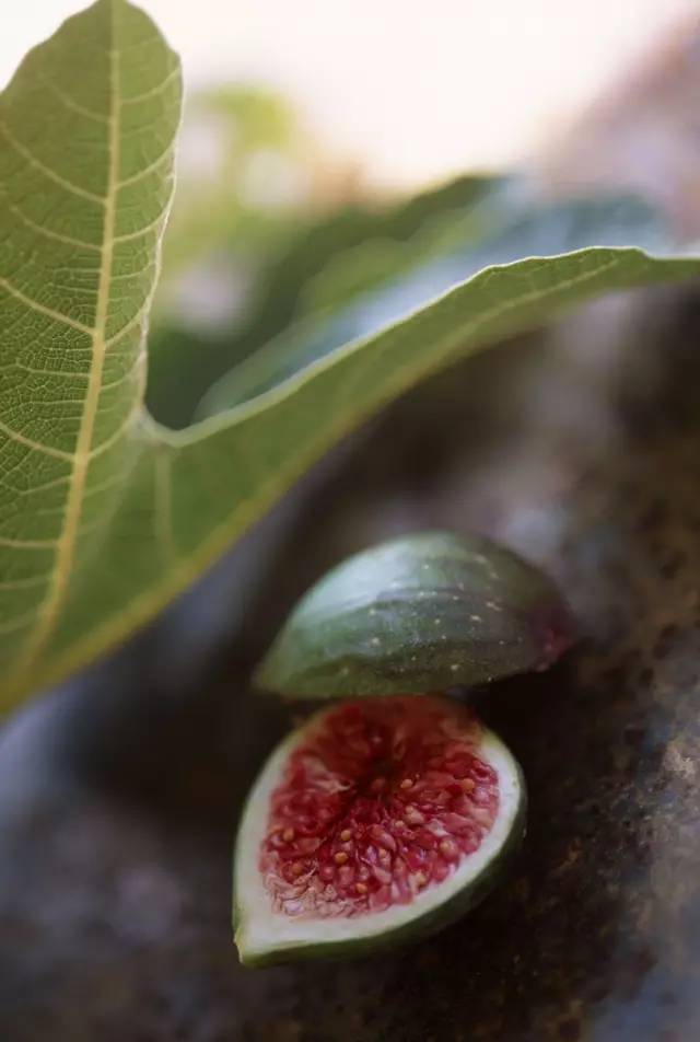富硒水果哪里买的最好(富硒的水果蔬菜有哪些)-硒宝网