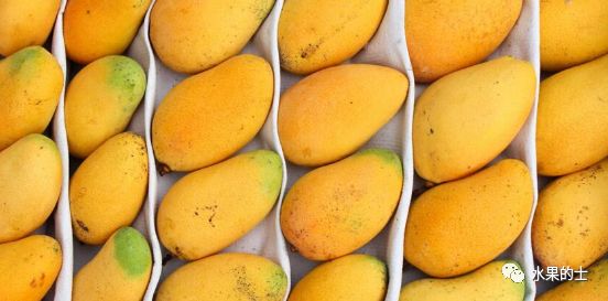 富硒最贵水果是什么呢（水果贵富硒是什么原因）-硒宝网