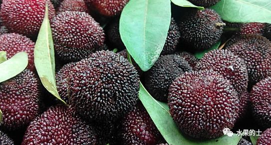 富硒最贵水果是什么呢（水果贵富硒是什么原因）-硒宝网