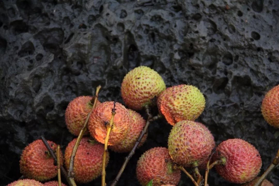 富硒最贵水果是什么呢（水果贵富硒是什么意思）-硒宝网