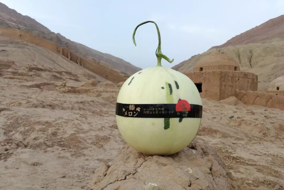 富硒最贵水果是什么呢（水果贵富硒是什么意思）-硒宝网