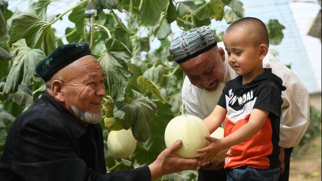 富硒最贵水果是什么呢（水果贵富硒是什么意思）-硒宝网