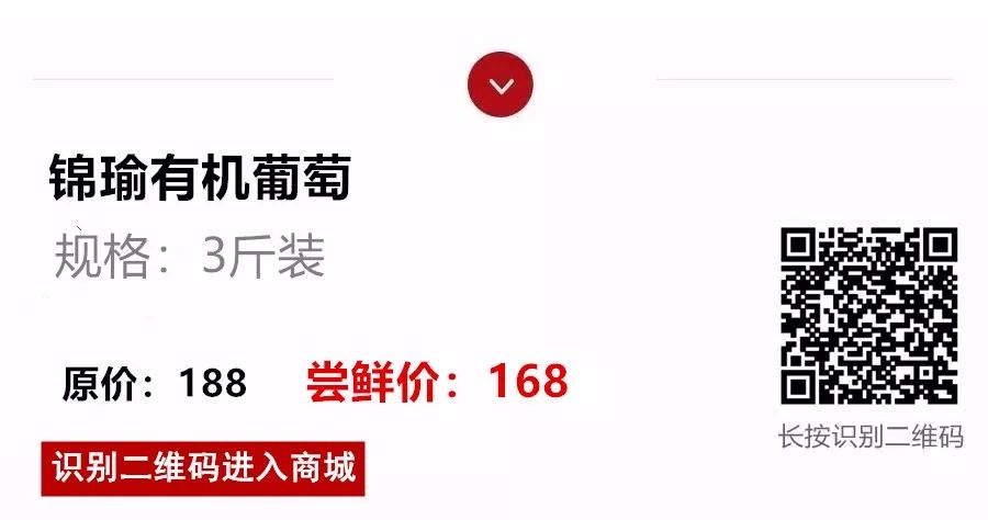 富硒最贵水果是什么呢（水果贵富硒是什么意思）-硒宝网