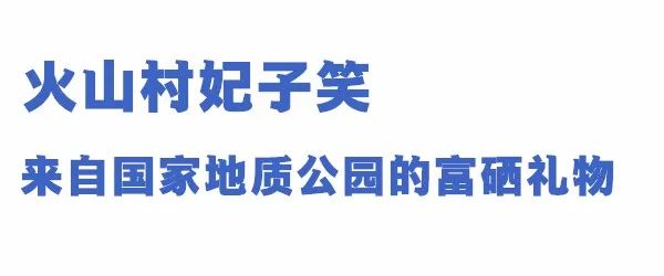 富硒最贵水果是什么呢（水果贵富硒是什么意思）-硒宝网