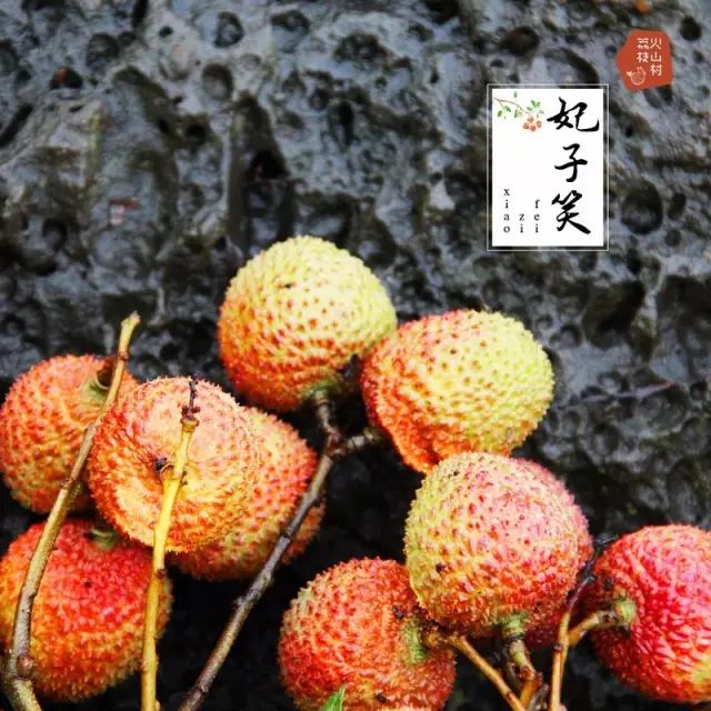 富硒最贵水果是什么呢（水果贵富硒是什么意思）-硒宝网