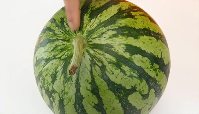 富硒水果有什么特点呢（富硒的水果蔬菜有哪些）-硒宝网