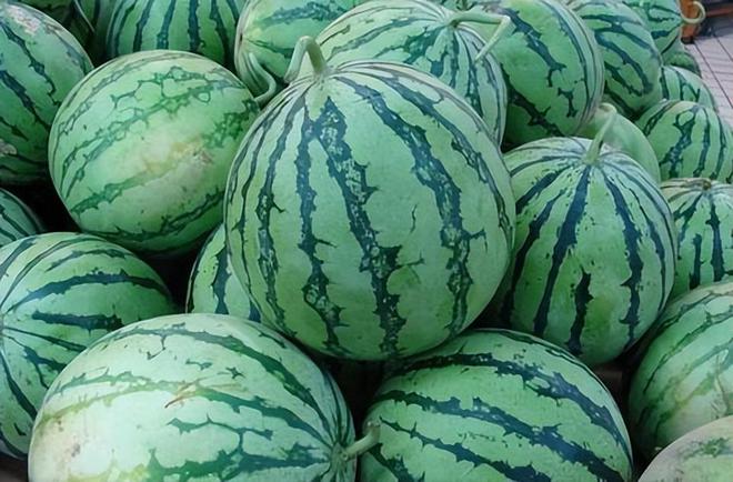 富硒水果有什么特点呢（富硒的水果蔬菜有哪些）-硒宝网