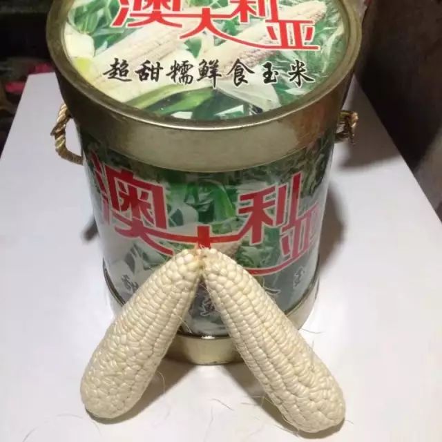 富硒玉米是水果玉米吗(富硒玉米的好处)-硒宝网