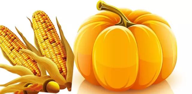 富硒玉米是水果玉米吗(富硒玉米的好处)-硒宝网