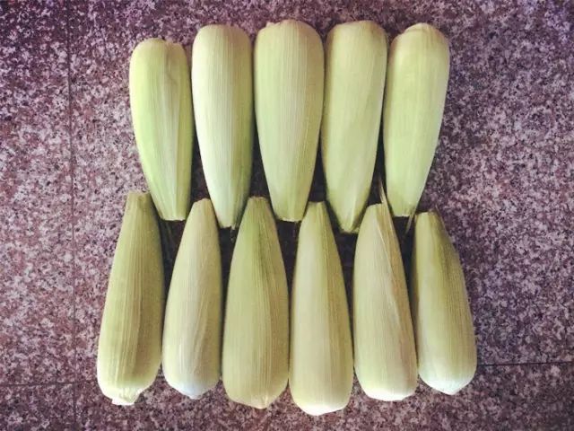 富硒玉米是水果玉米吗(富硒玉米的好处)-硒宝网