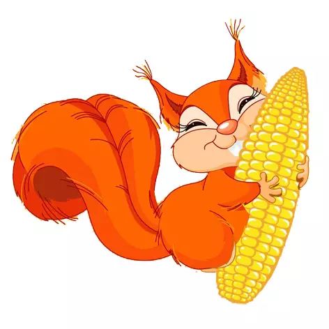 富硒玉米是水果玉米吗(富硒玉米的好处)-硒宝网