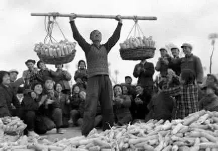 富硒玉米是水果玉米吗(富硒玉米的好处)-硒宝网