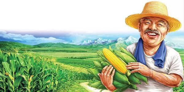 富硒玉米是水果玉米吗(富硒玉米的好处)-硒宝网