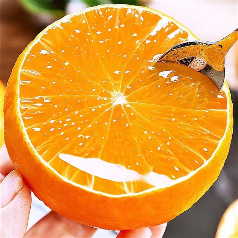 果冻橙子是富硒水果吗(水果果冻橙子富硒是什么品种)-硒宝网