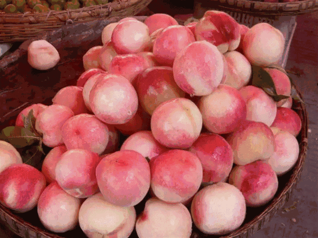 富硒水果采摘自驾攻略(去采摘水果)-硒宝网