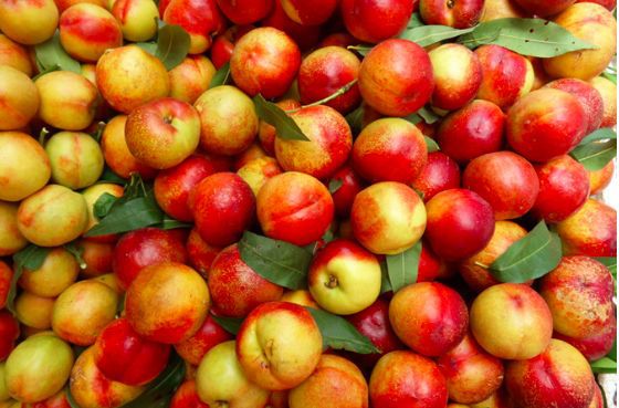 富硒水果采摘自驾攻略(去采摘水果)-硒宝网