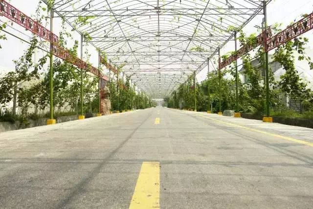 富硒水果采摘自驾攻略(去采摘水果)-硒宝网