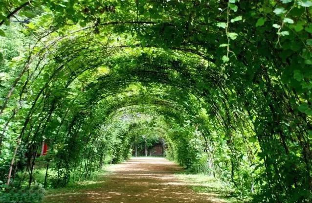 富硒水果采摘自驾攻略(去采摘水果)-硒宝网