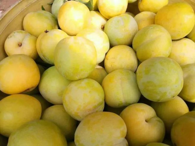 富硒水果采摘自驾攻略(去采摘水果)-硒宝网