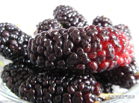 什么水果有富硒的作用（富硒的水果）-硒宝网