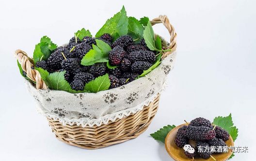 什么水果有富硒的作用（富硒的水果）-硒宝网