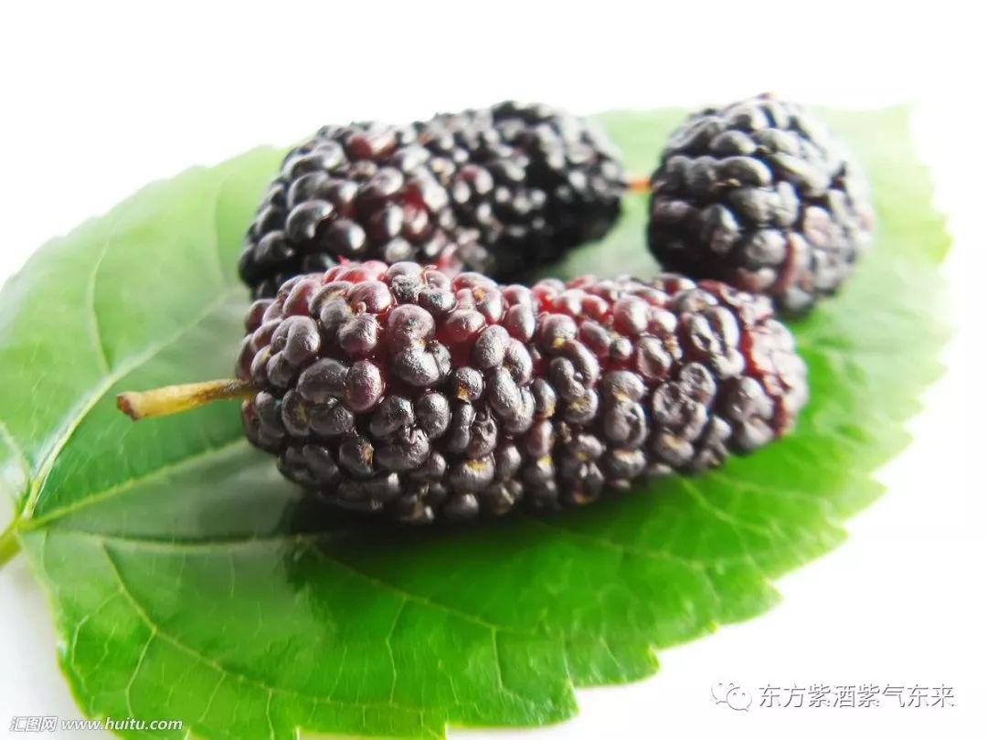 什么水果有富硒的作用（富硒的水果）-硒宝网