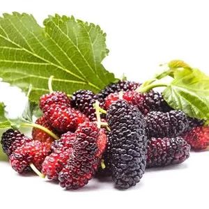 富硒水果采摘自驾攻略（旅游摘水果）-硒宝网