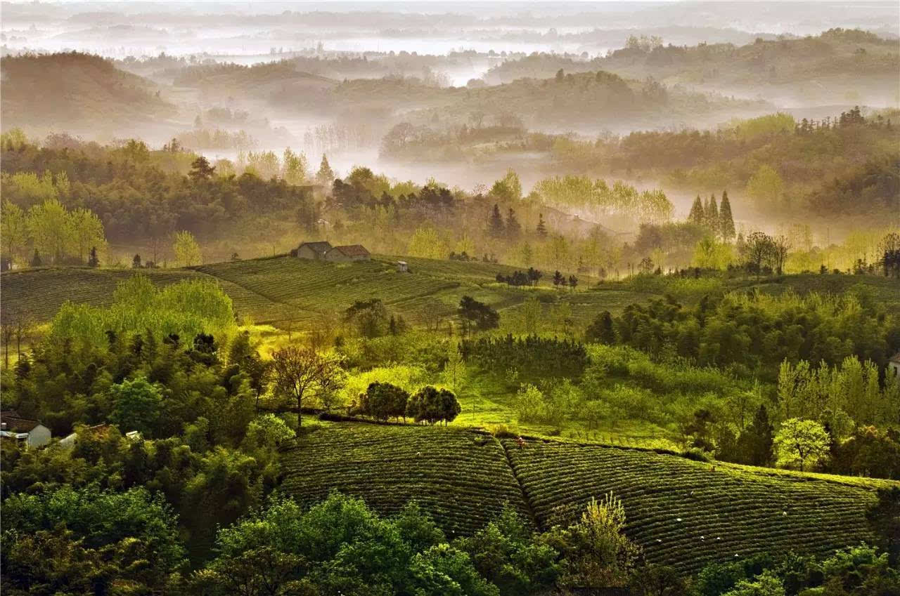 江苏富硒水果苗木销售(江苏富硒农业网)-硒宝网