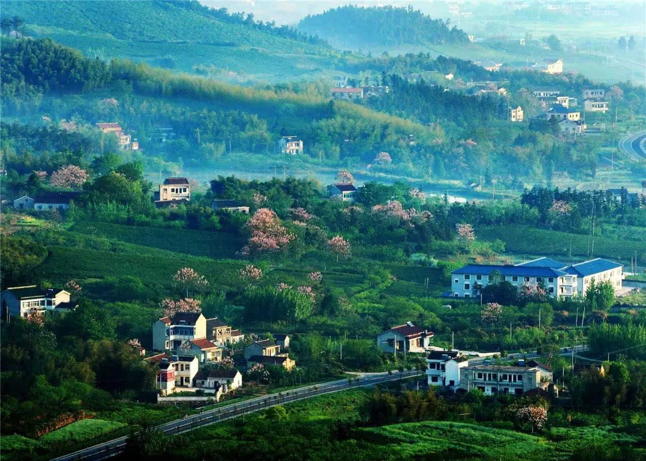 江苏富硒水果苗木销售(江苏富硒农业网)-硒宝网