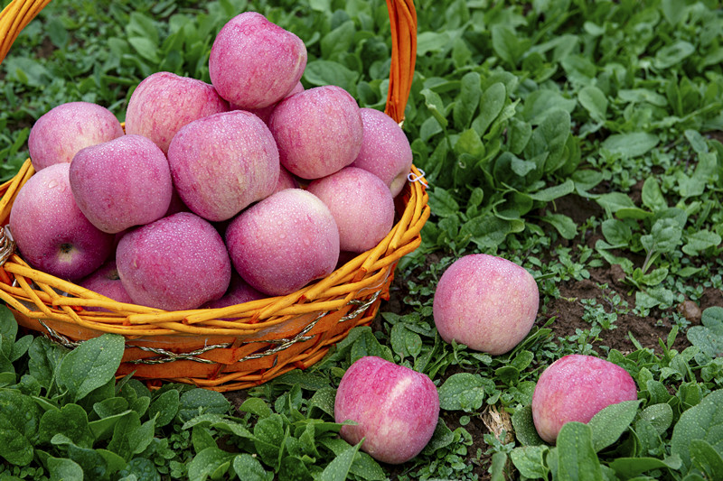 什么是天然富硒水果呢(天然富硒食品)-硒宝网