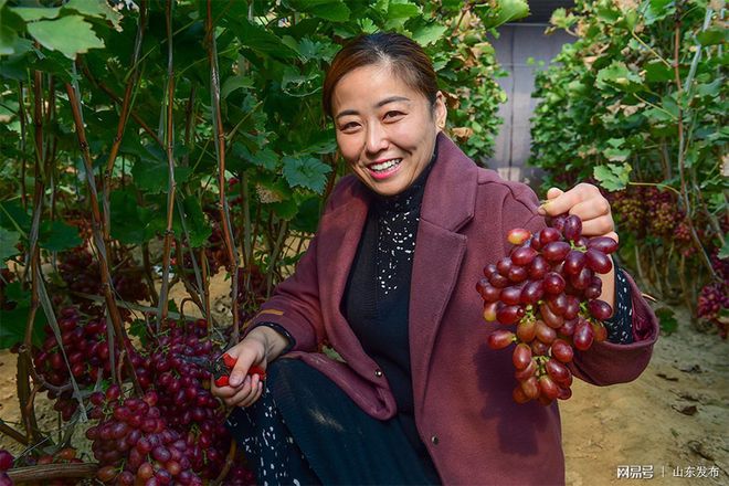 富硒水果就是高品质吗(水果品质富硒高是什么品种)-硒宝网