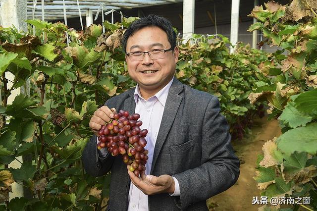 富硒水果就是高品质吗(水果品质富硒高是什么品种)-硒宝网