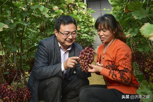 富硒水果就是高品质吗(水果品质富硒高是什么品种)-硒宝网