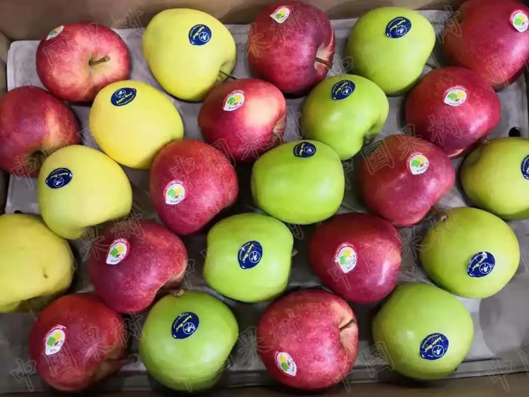 新型有机富硒水果品种（富硒水果的国家标准是多少）-硒宝网