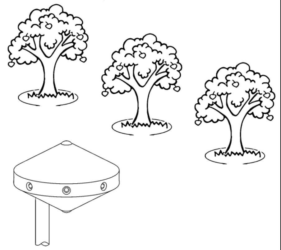 新型有机富硒水果品种（富硒水果的国家标准是多少）-硒宝网