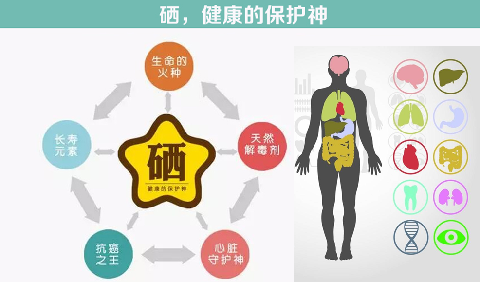 什么水果有富硒最多的（富硒的水果蔬菜有哪些）-硒宝网