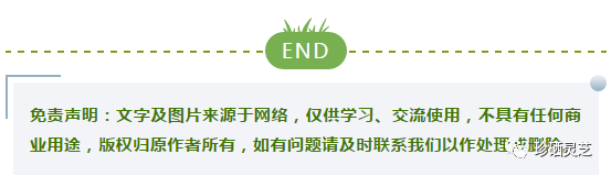 什么水果有富硒最多的（富硒的水果蔬菜有哪些）-硒宝网