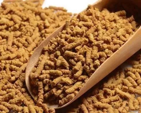 什么水果含富硒肽最多（含肽水果排行）-硒宝网