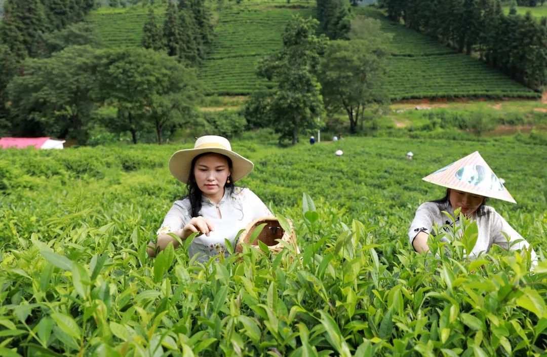 绿色生态富硒水果基地（水果产业基地）-硒宝网