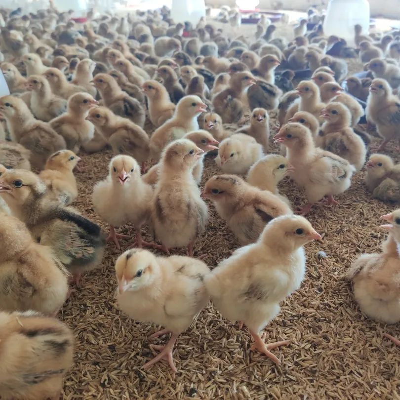 绿色生态富硒水果基地（水果产业基地）-硒宝网