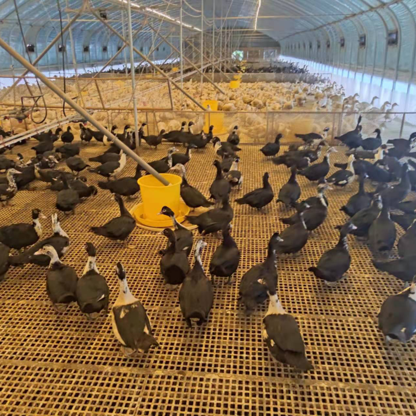 绿色生态富硒水果基地（水果产业基地）-硒宝网