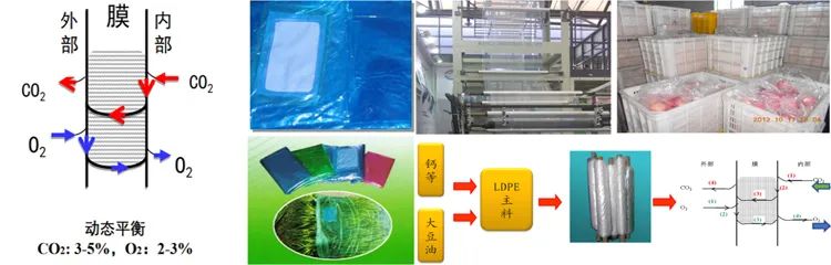 哪些水果是富硒果蔬果(果而富硒)-硒宝网