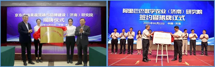 哪些水果是富硒果蔬果(果而富硒)-硒宝网