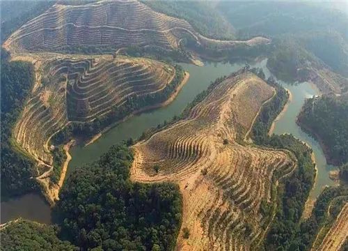 富硒情人果是什么水果(富硒情人果是什么水果)-硒宝网