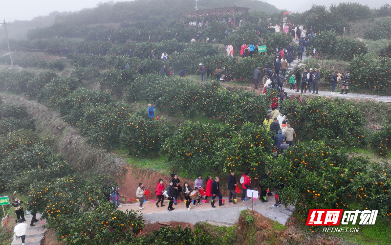 富硒水果哪里买的多?。ǜ晃勘曜迹?硒宝网