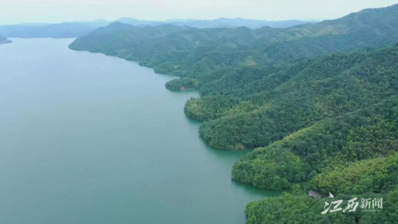 绿色生态富硒水果基地（水果生态官网）-硒宝网