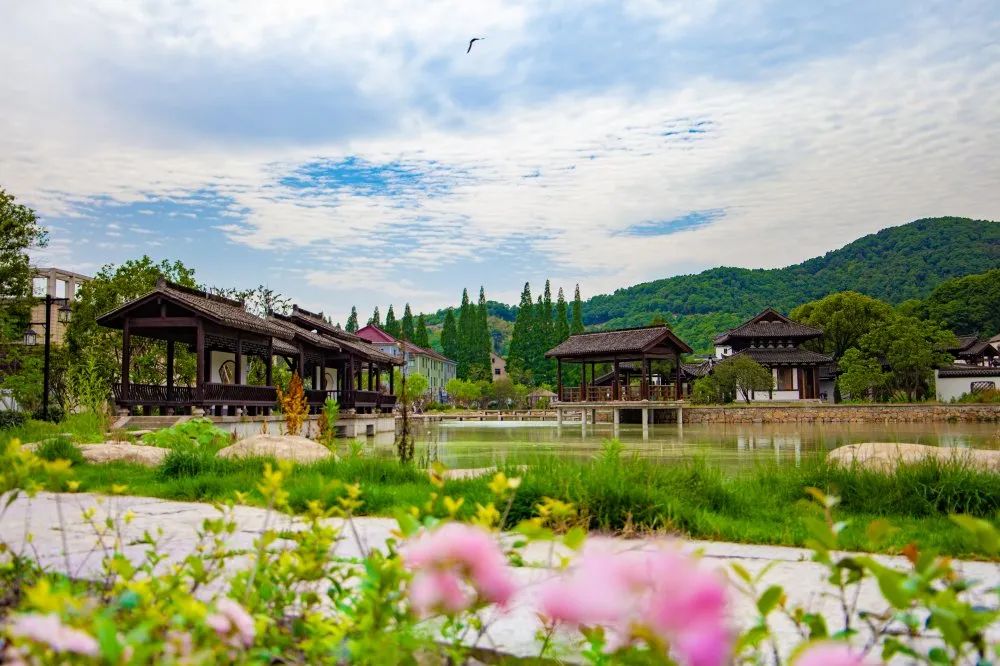 富硒水果的社会价值观(水果的核心价值)-硒宝网