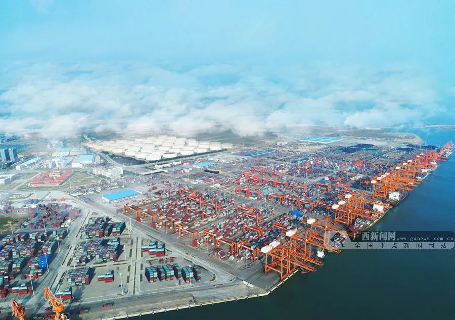 富硒水果的社会价值观(水果核心价值观)-硒宝网