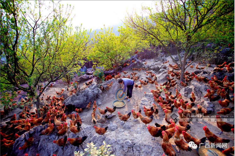 富硒水果的社会价值观(水果核心价值观)-硒宝网
