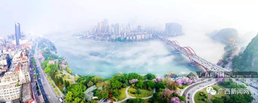 富硒水果的社会价值观(水果核心价值观)-硒宝网